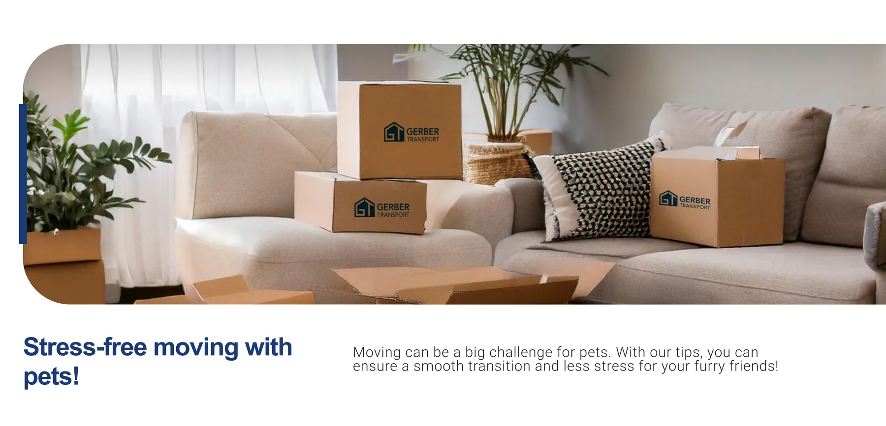 Moving with Pets – What You Need to Consider